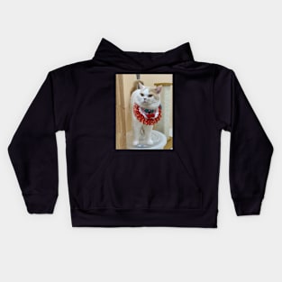 the handsome white cats Kids Hoodie